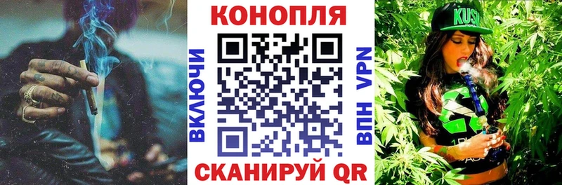 Бошки Шишки планчик Нерчинск